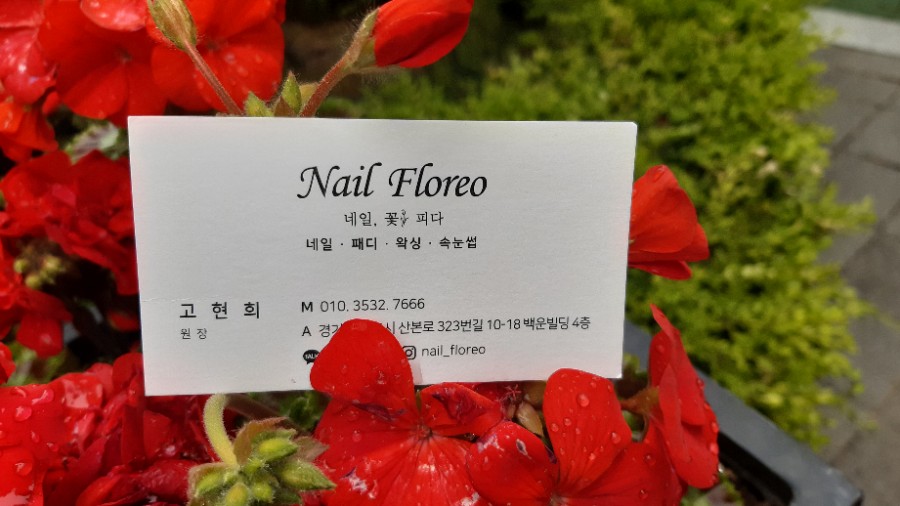 네일플로레오 이미지