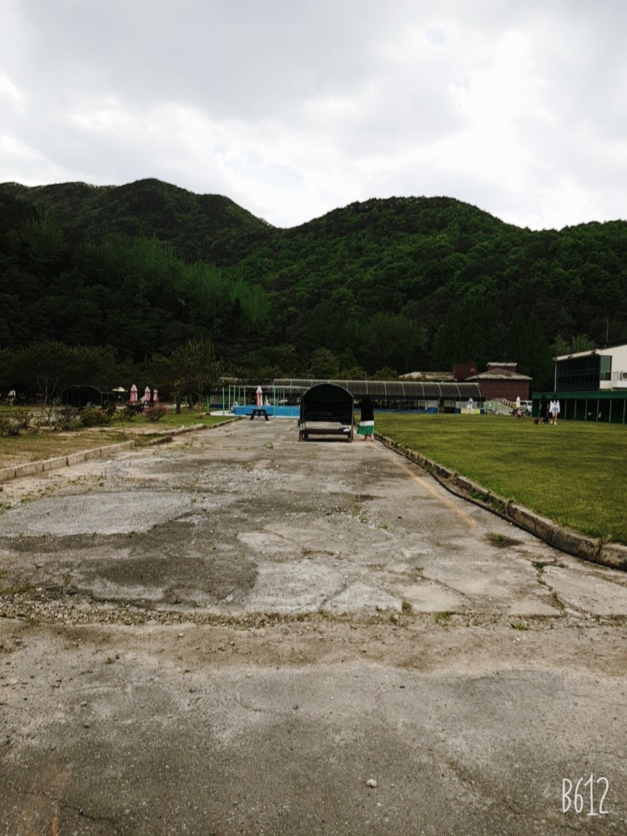 애견카페 포 이미지