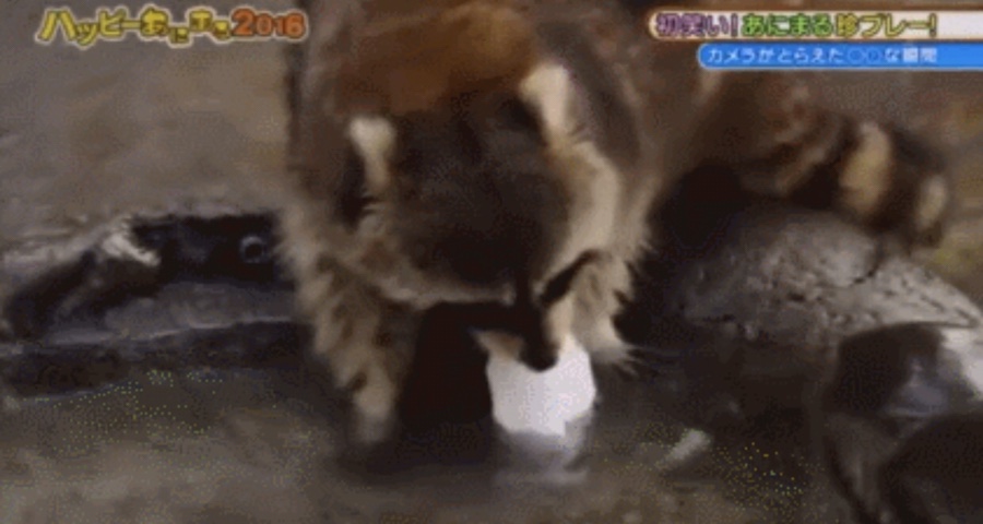 모퉁이주방 이미지