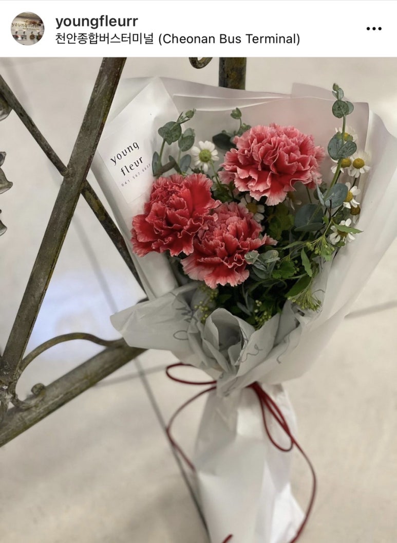 영플레르 이미지