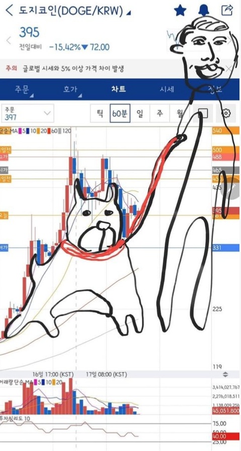 도지(DOGE) 이미지