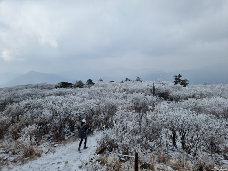 산 닭집 이미지
