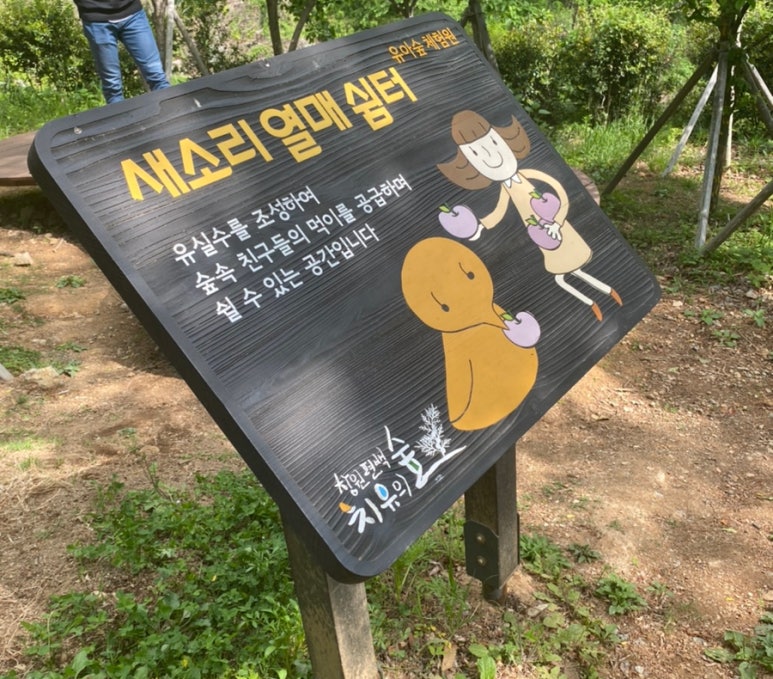 창원 편백치유의숲 유아숲체험원 이미지