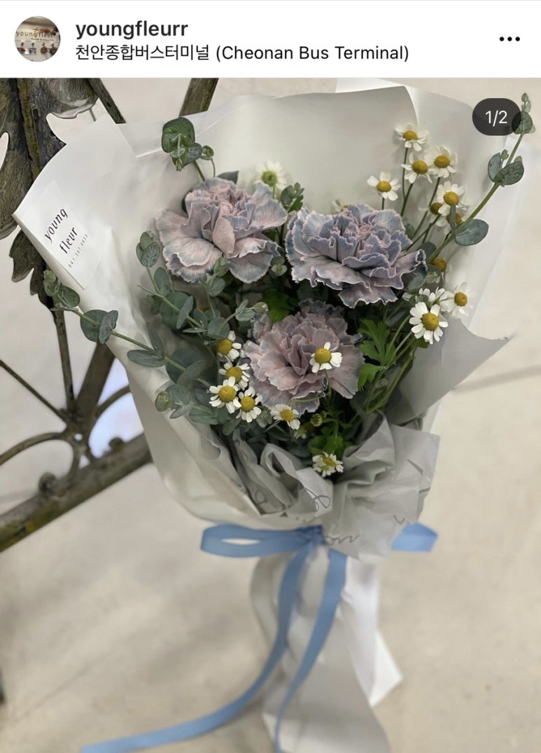 영플레르 이미지