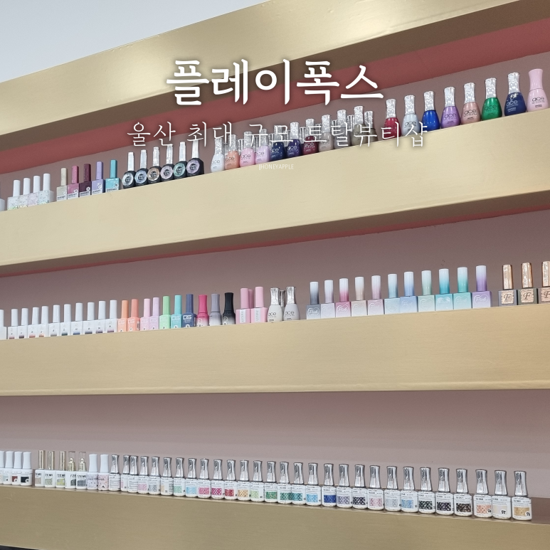 폭스네일 이미지