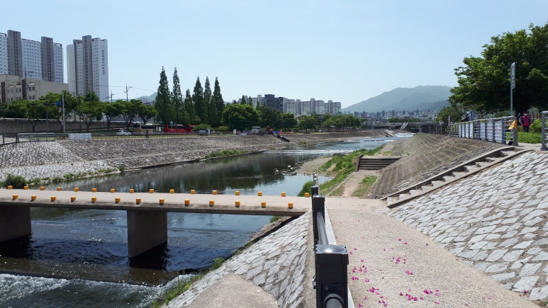 하나로 축산물 백화점 이미지
