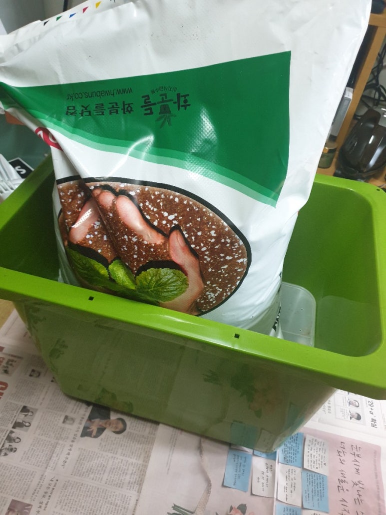 화분들닷컴 이미지