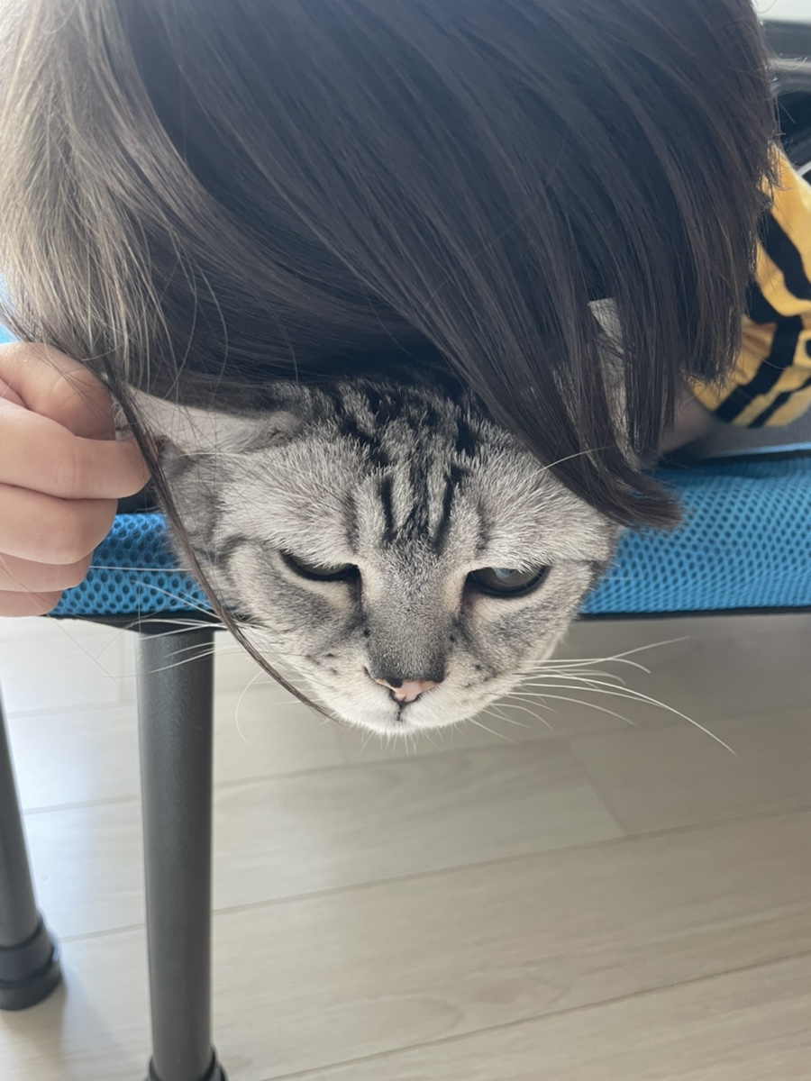 파미컴퍼니 이미지