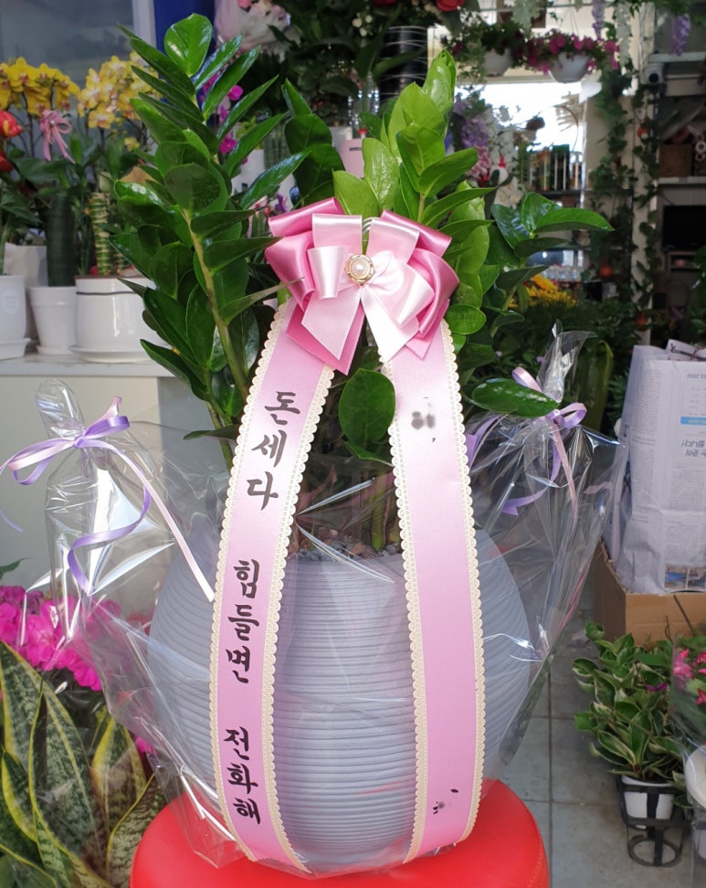 충주화원 이미지