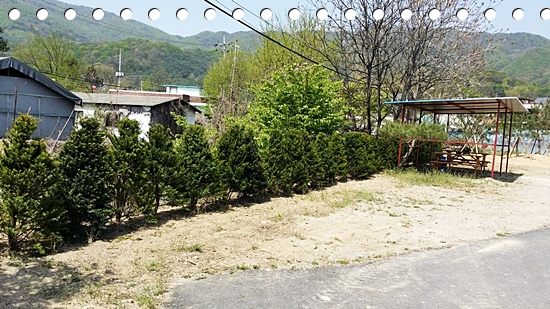 포천냉면 이미지