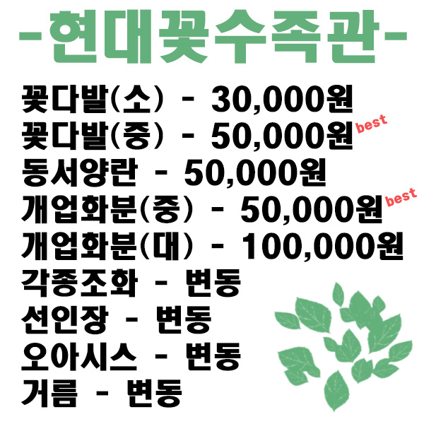 현대꽃수족관 이미지