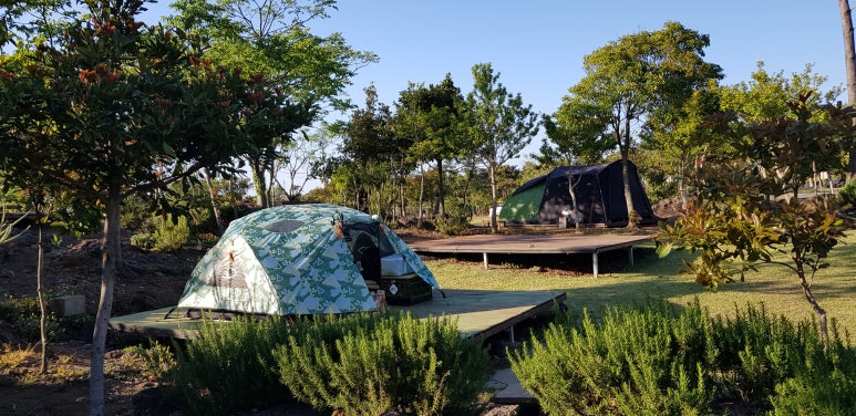 제주돌하르방캠핑장 이미지