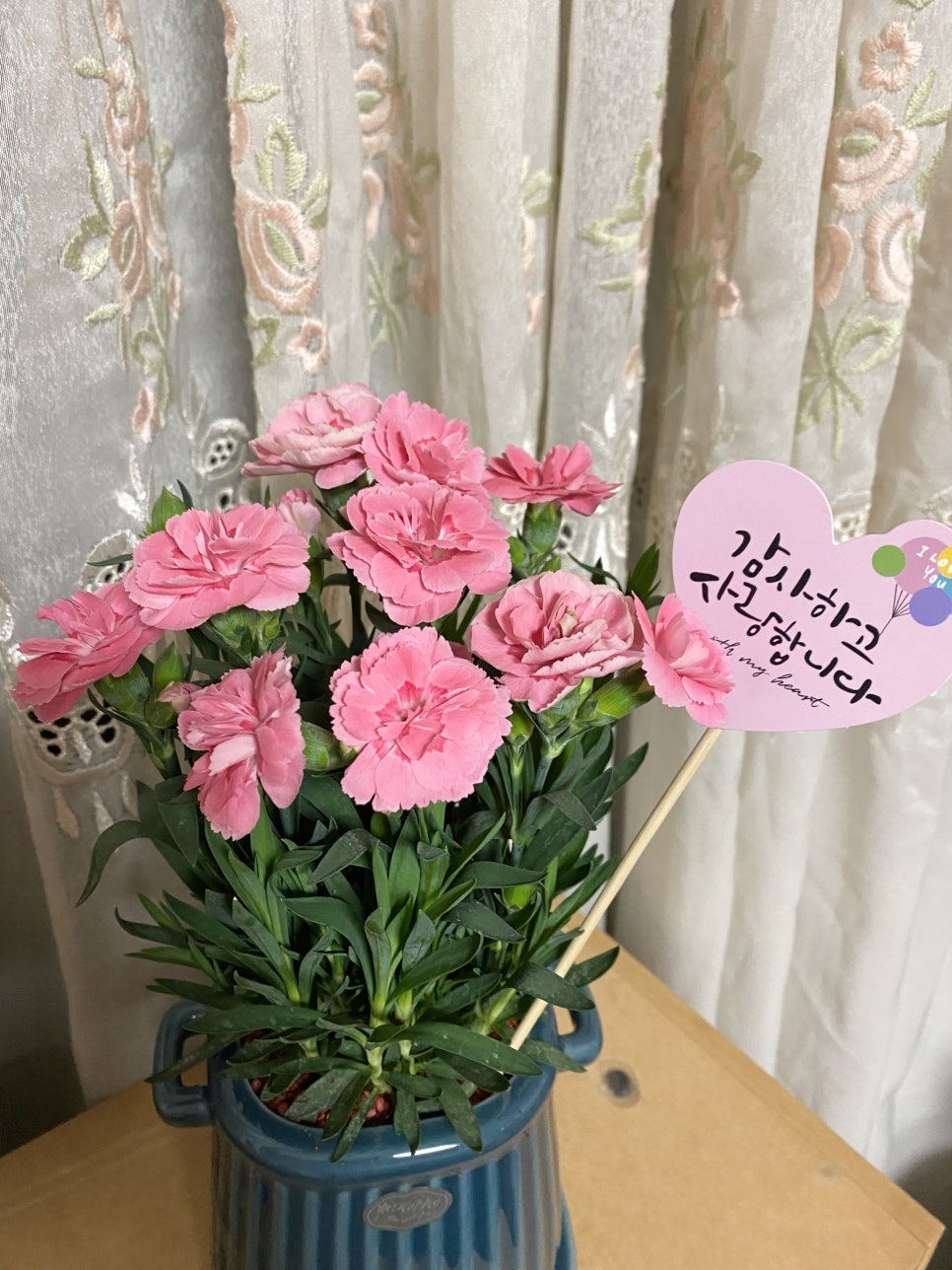 세실플라워 이미지