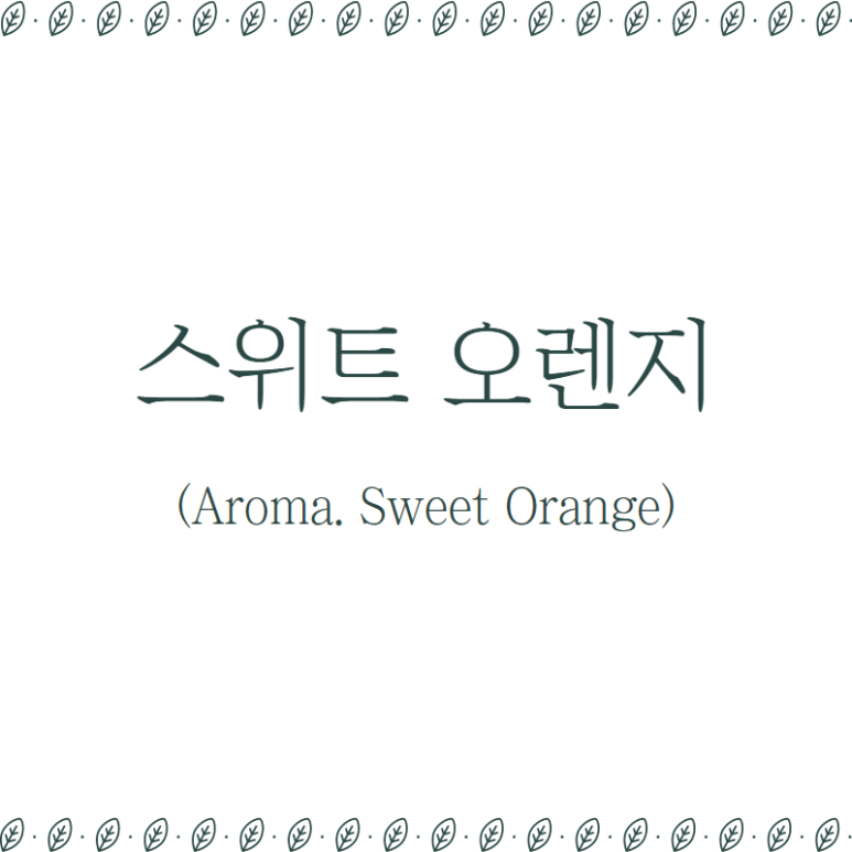 오렌지아로마 이미지