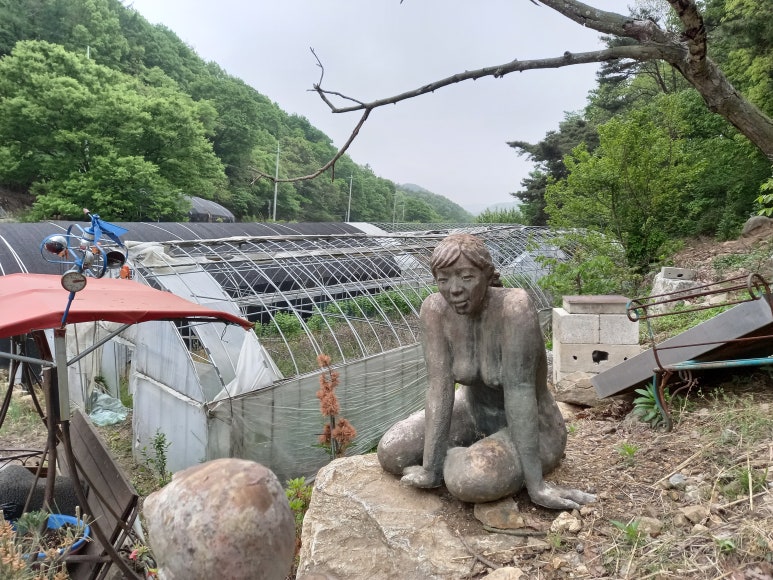 영창피아노예산홍성 이미지