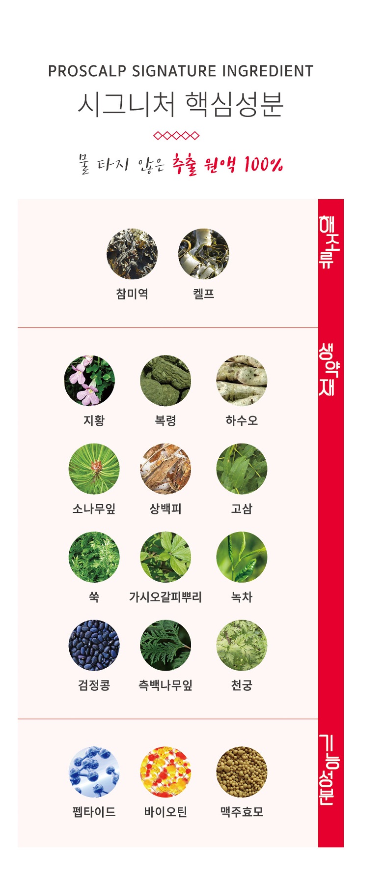 온스칼프 이미지