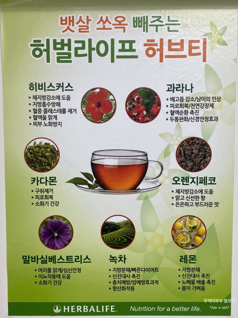 하이점핑다이어트 이미지