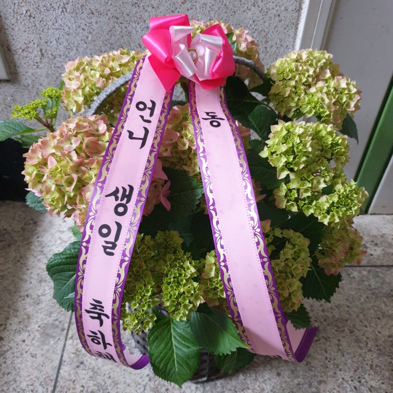 현대꽃수족관 이미지