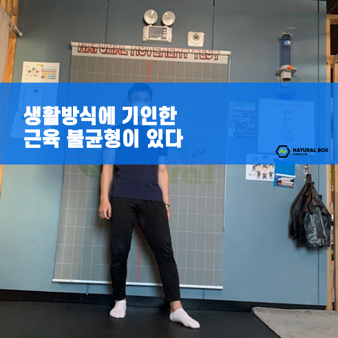 네츄럴박스 이미지