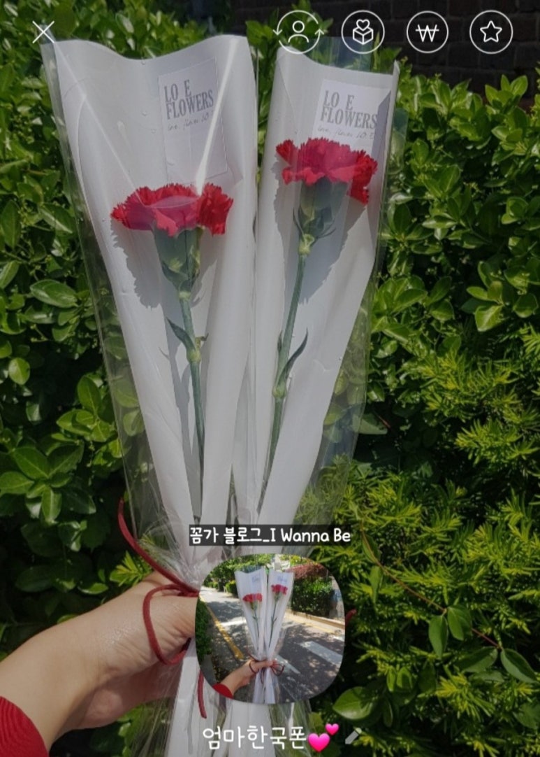 로애플라워즈 이미지