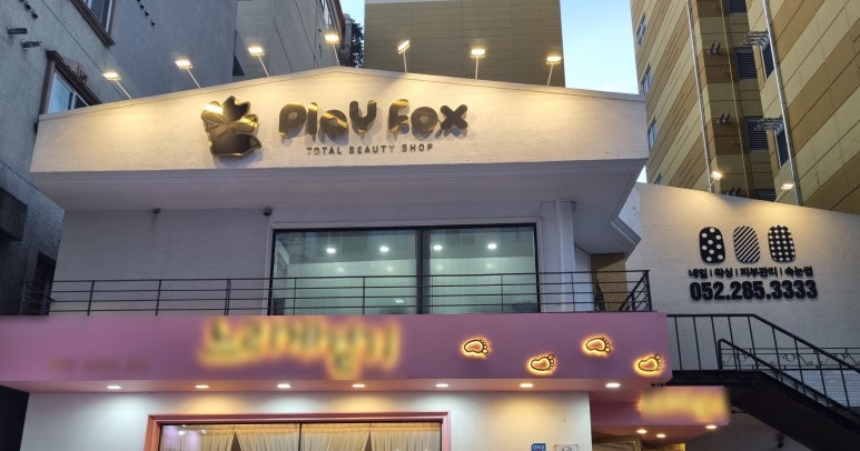 폭스네일 이미지