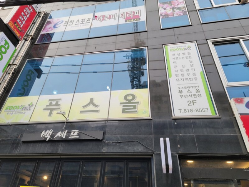 푸스올 이미지