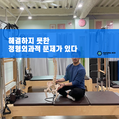 네츄럴박스 이미지