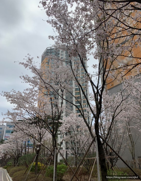 홀썸브레드 이미지