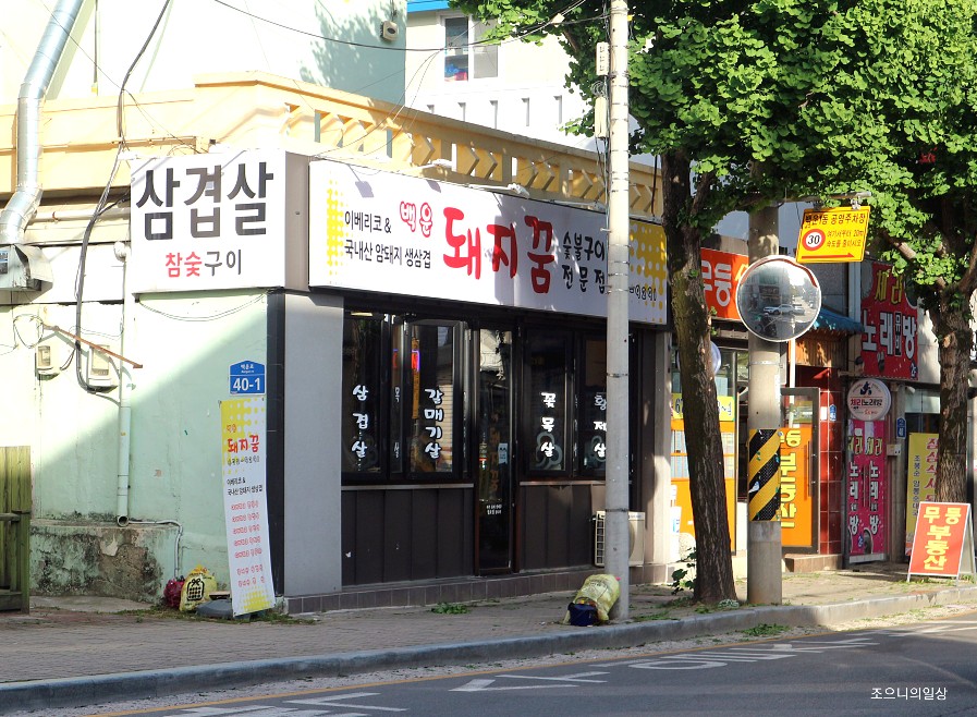 백운돼지꿈 이미지