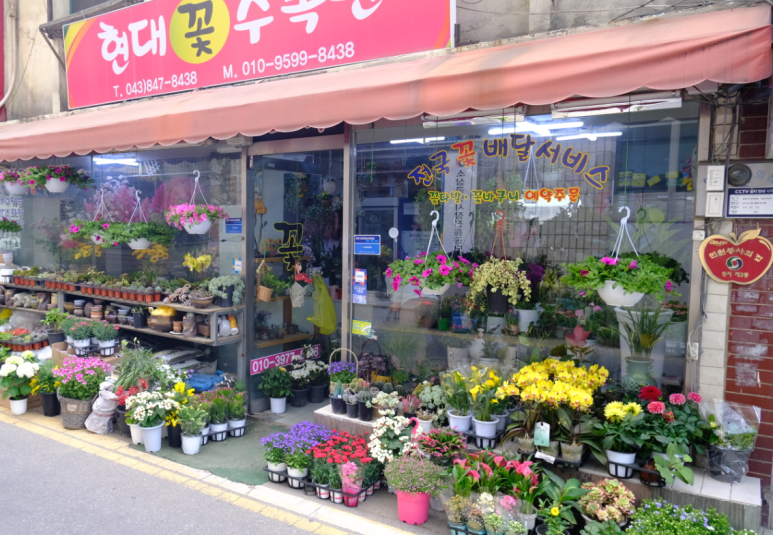 현대꽃수족관 이미지