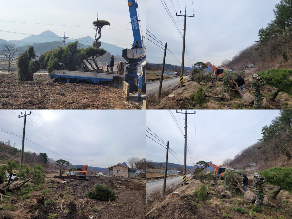 소나무건축인테리어 이미지