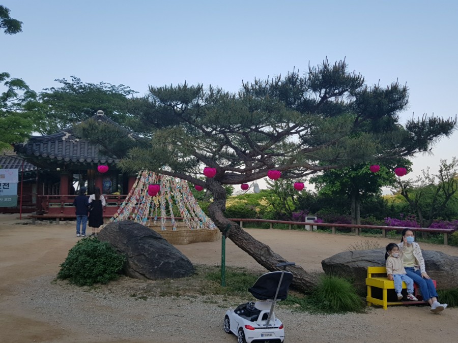 투투개구리 이미지