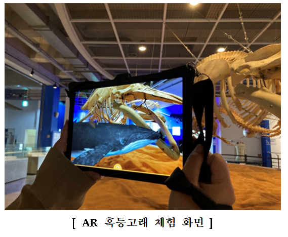 (주)오션레저 이미지
