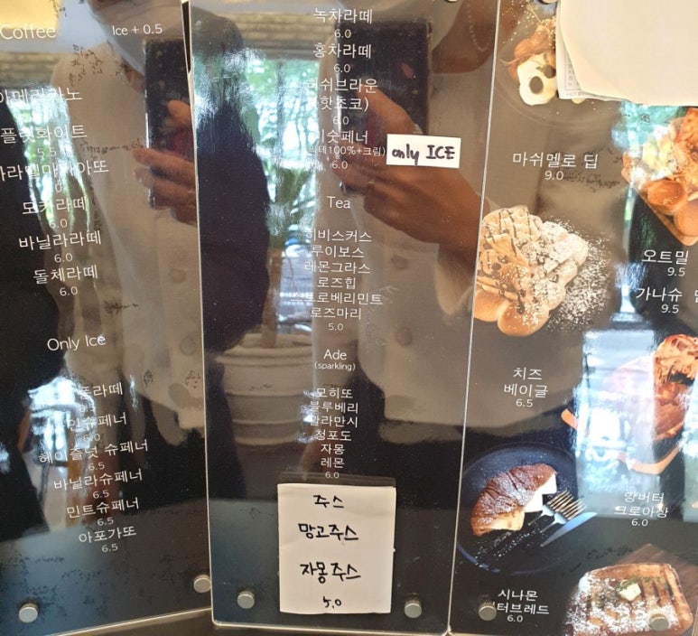 모던플랜츠 이미지