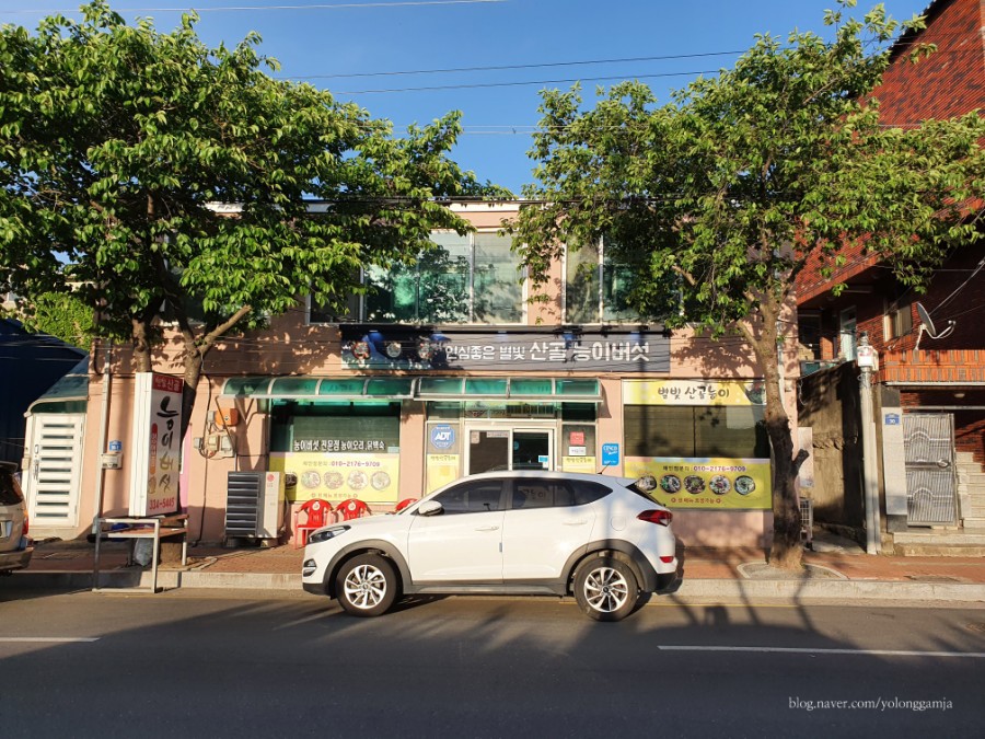 별빛산골능이버섯 이미지