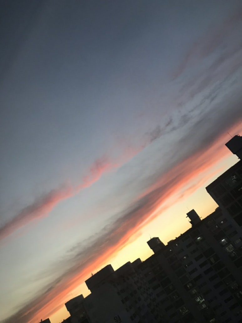 선한아름다움 이미지