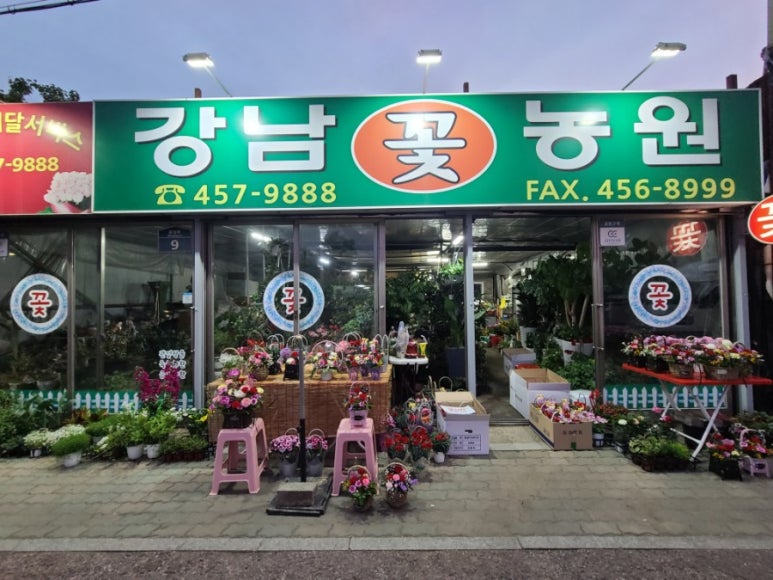오전꽃농원 이미지