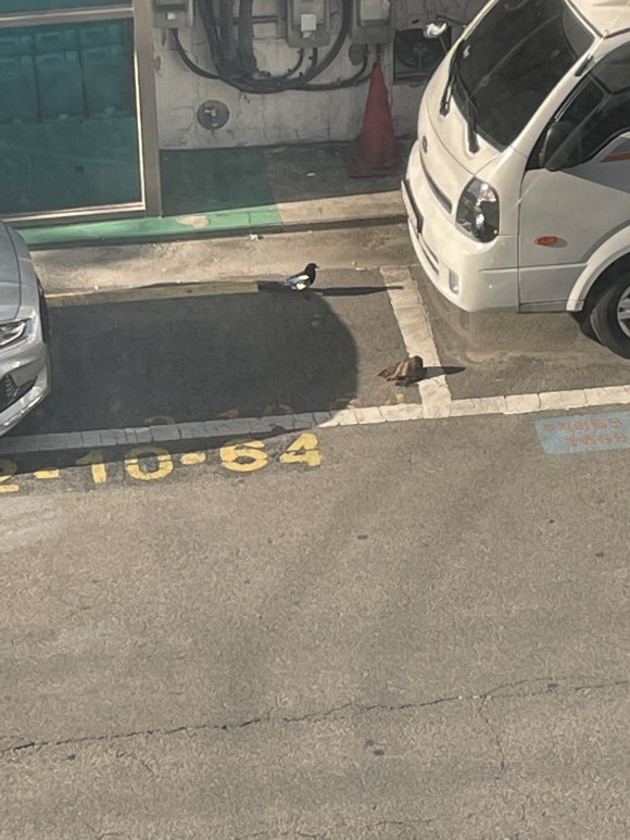 (주)이동천식품 이미지