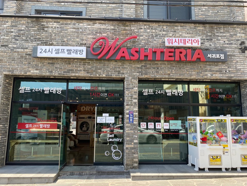 워시테리아올레 이미지