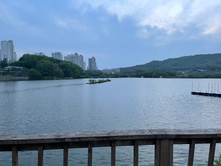 월랑쭈꾸미아산 이미지