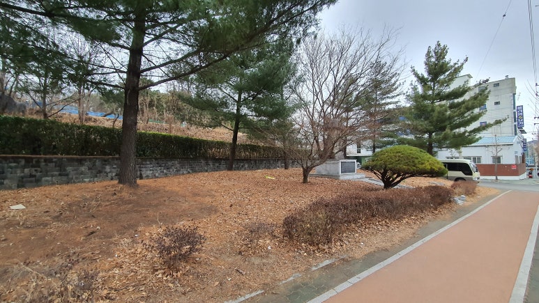 교촌치킨원호점 이미지