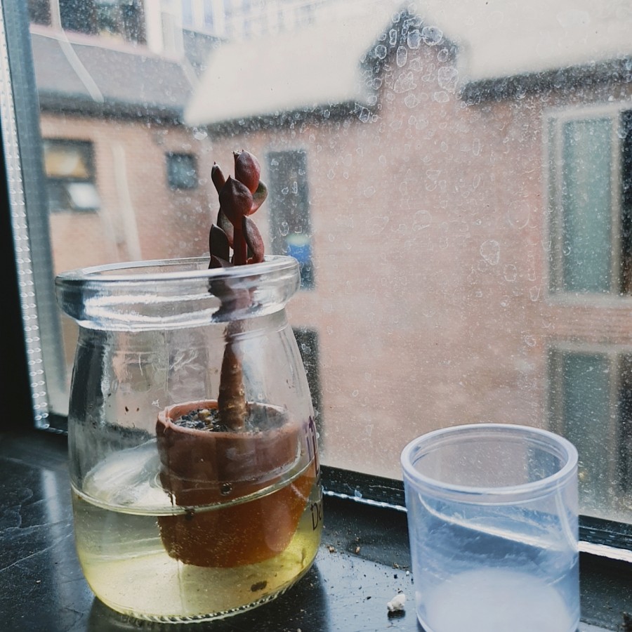 마더다육 이미지
