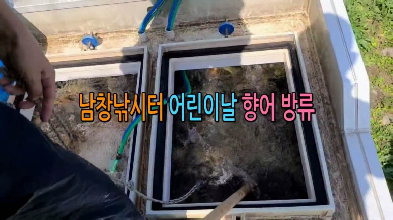 오늘은향어 이미지