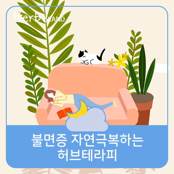 허브테라피 이미지