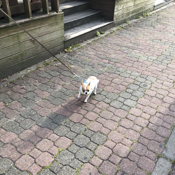 파리바게뜨화북점 이미지