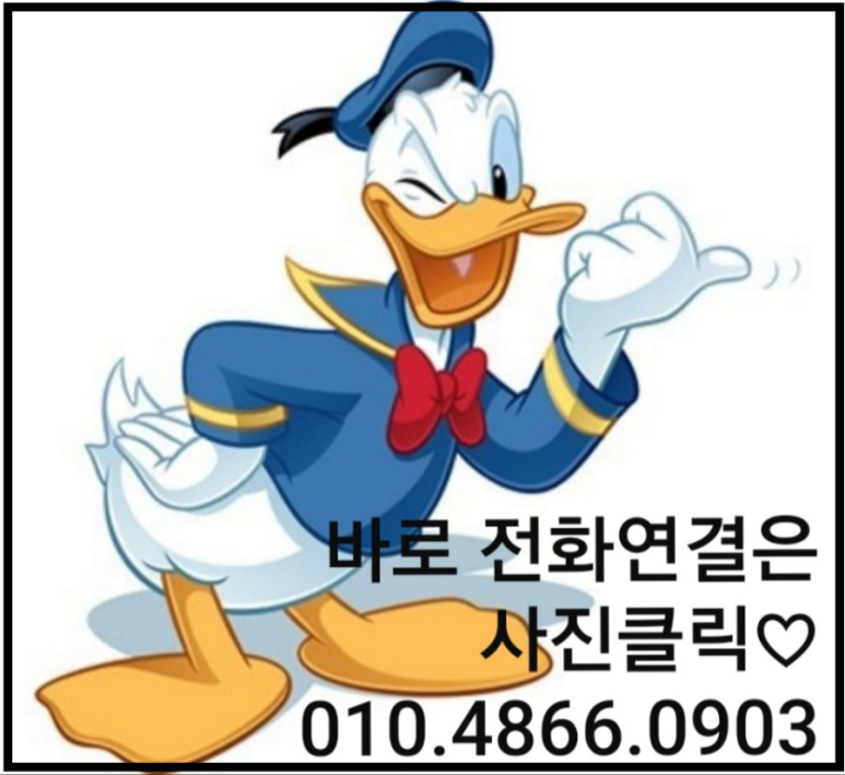 파우코 이미지