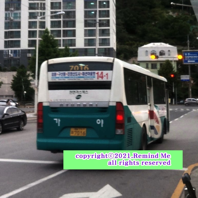 유하진영 이미지