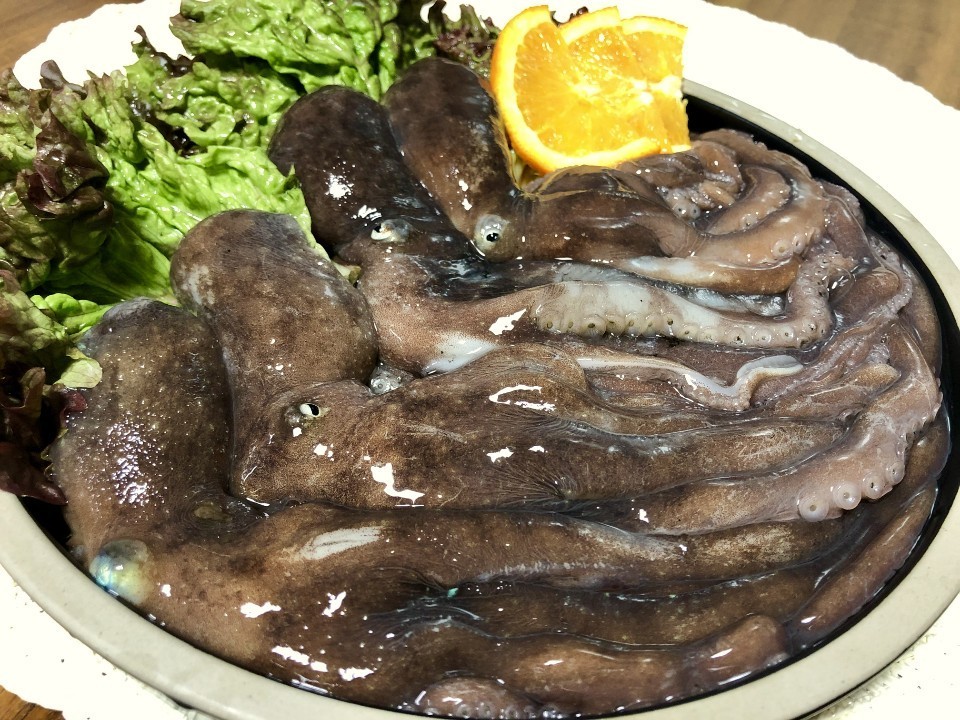 보물섬농수산 이미지