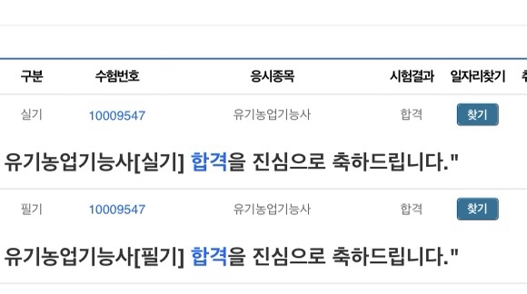 레이화 이미지