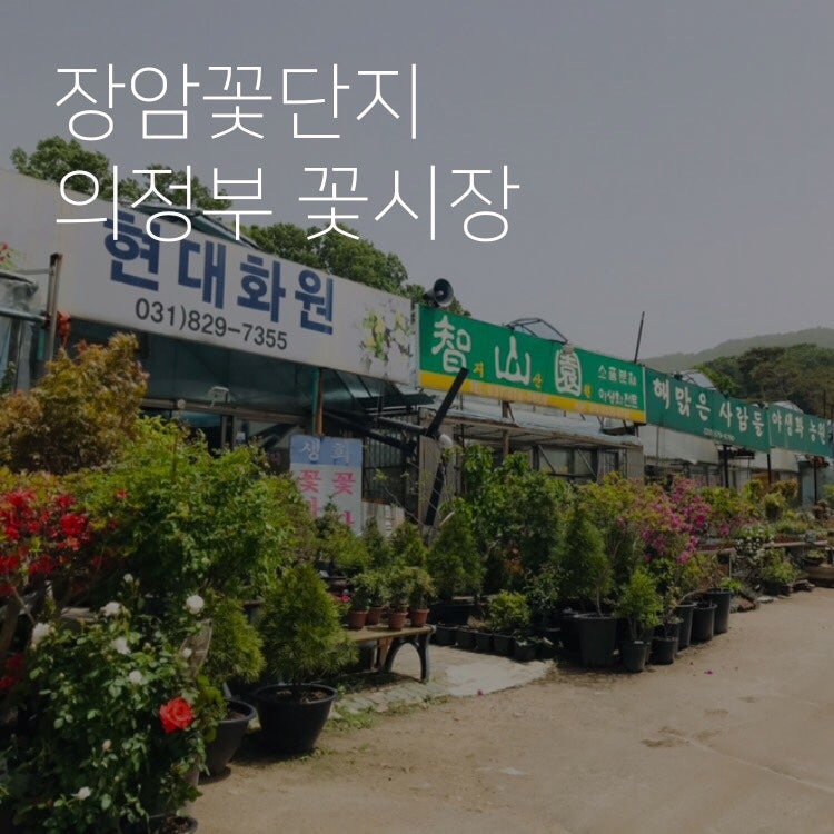 꽃단지농원 이미지
